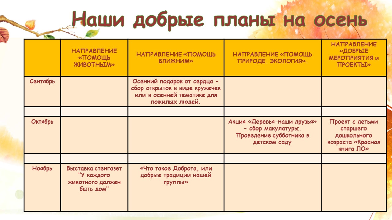 Государственное бюджетное дошкольное образовательное учреждение детский сад  № 78 Невского района Санкт-Петербурга - Искорки Доброты